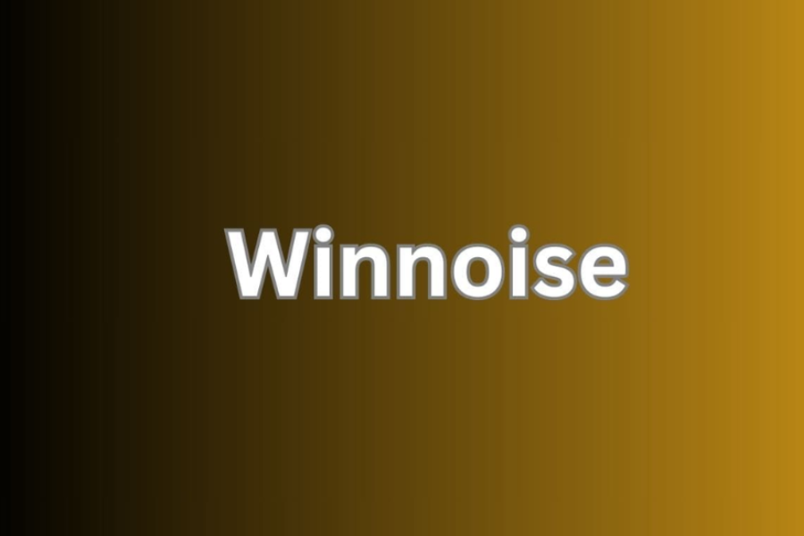 winnoise